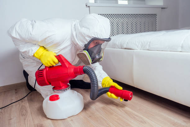 Best Affordable Pest Control Services  in Anchor Point, AK